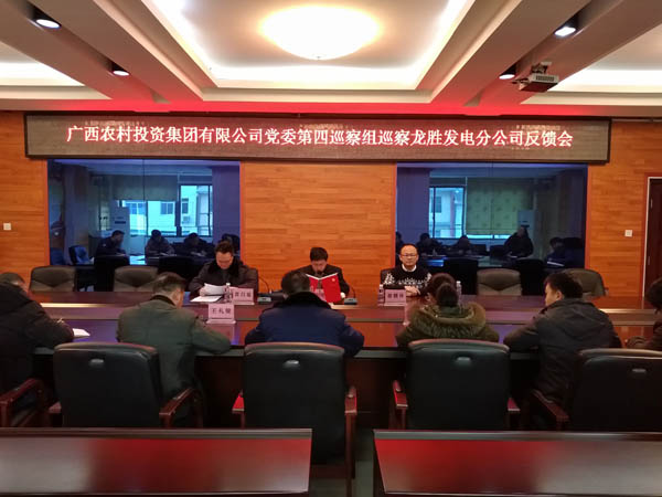 1.农投集团党委第四巡察组向龙胜发电分公司反馈巡察情况.jpg