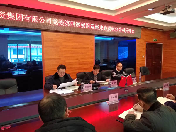 2.农投集团党委第四巡察组向龙胜发电分公司反馈巡察情况.jpg