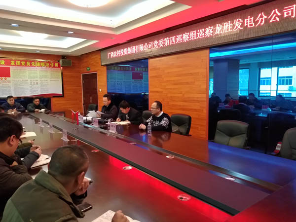 3.农投集团党委第四巡察组向龙胜发电分公司反馈巡察情况.jpg